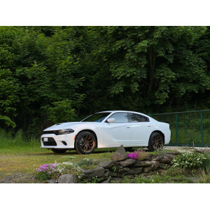 4x Felgi 20'' m.in. do FORD Mustang Shelby GT500 Aston DB9 - HX039